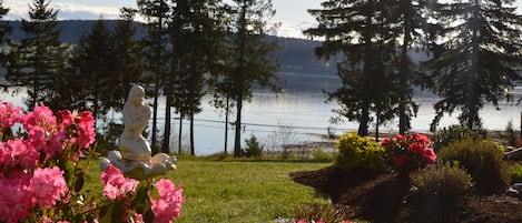 Vue depuis l’hébergement