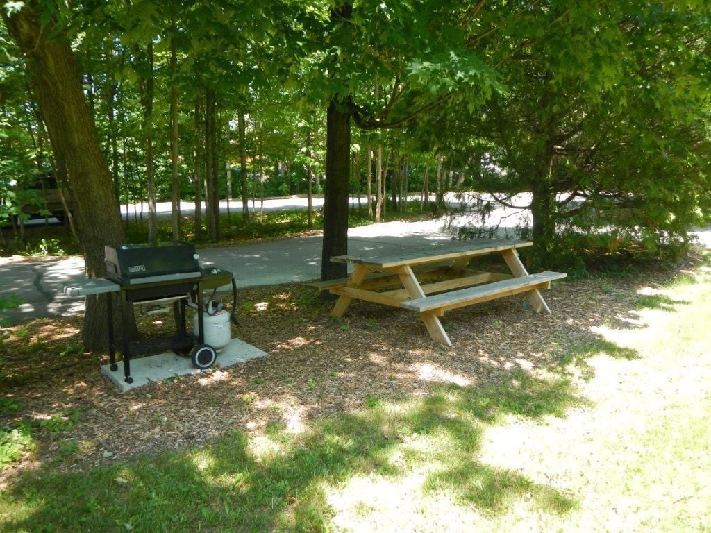 bbq/picnic area