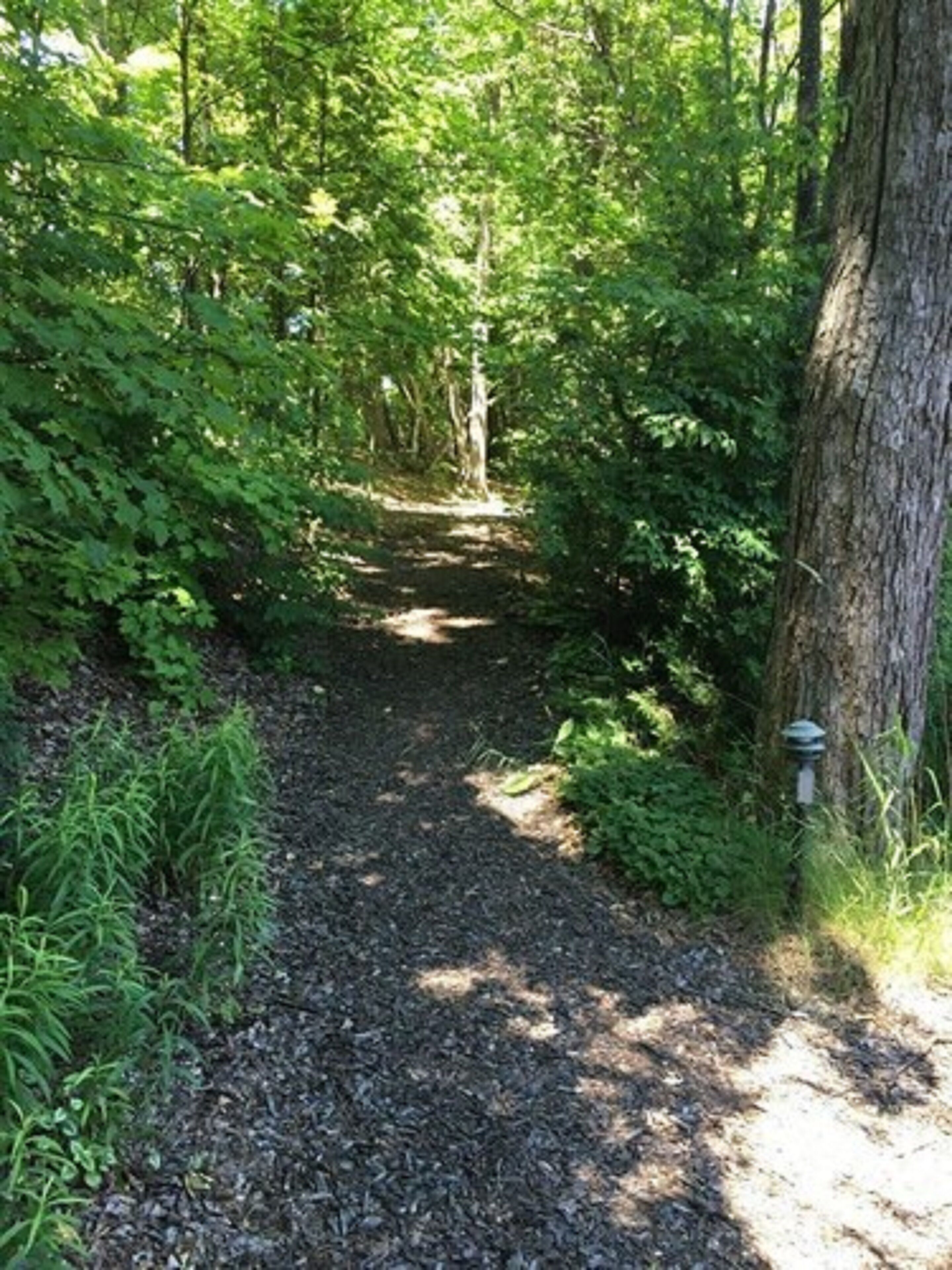 indoor pool, seasonal outdoor pool, pool loungers
