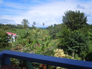 Skylark Ocean View | Vista desde la habitación
