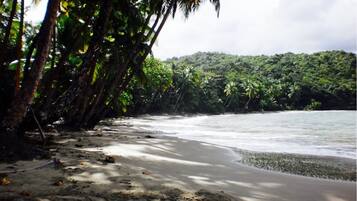 Beach nearby, white sand, beach towels, 5 beach bars