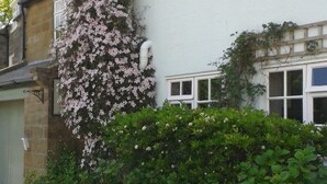 Uklassifisert bilde, 3 av 13, knapp