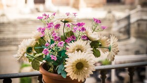 En terrakotta-kruka med vita och rosa blommor på ett balkongräcke.