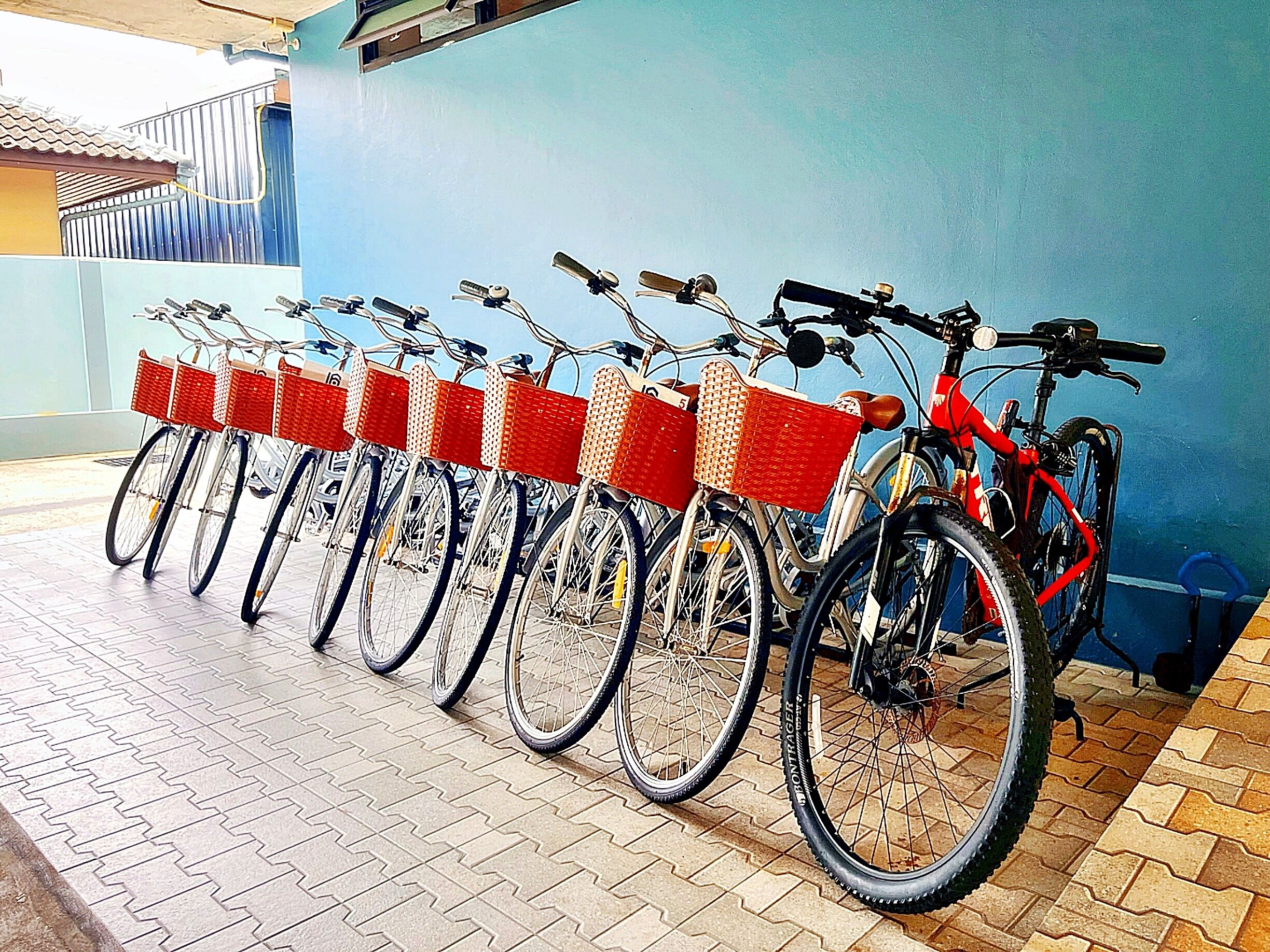 A row of bicycles with red baskets, parked against a blue wall.