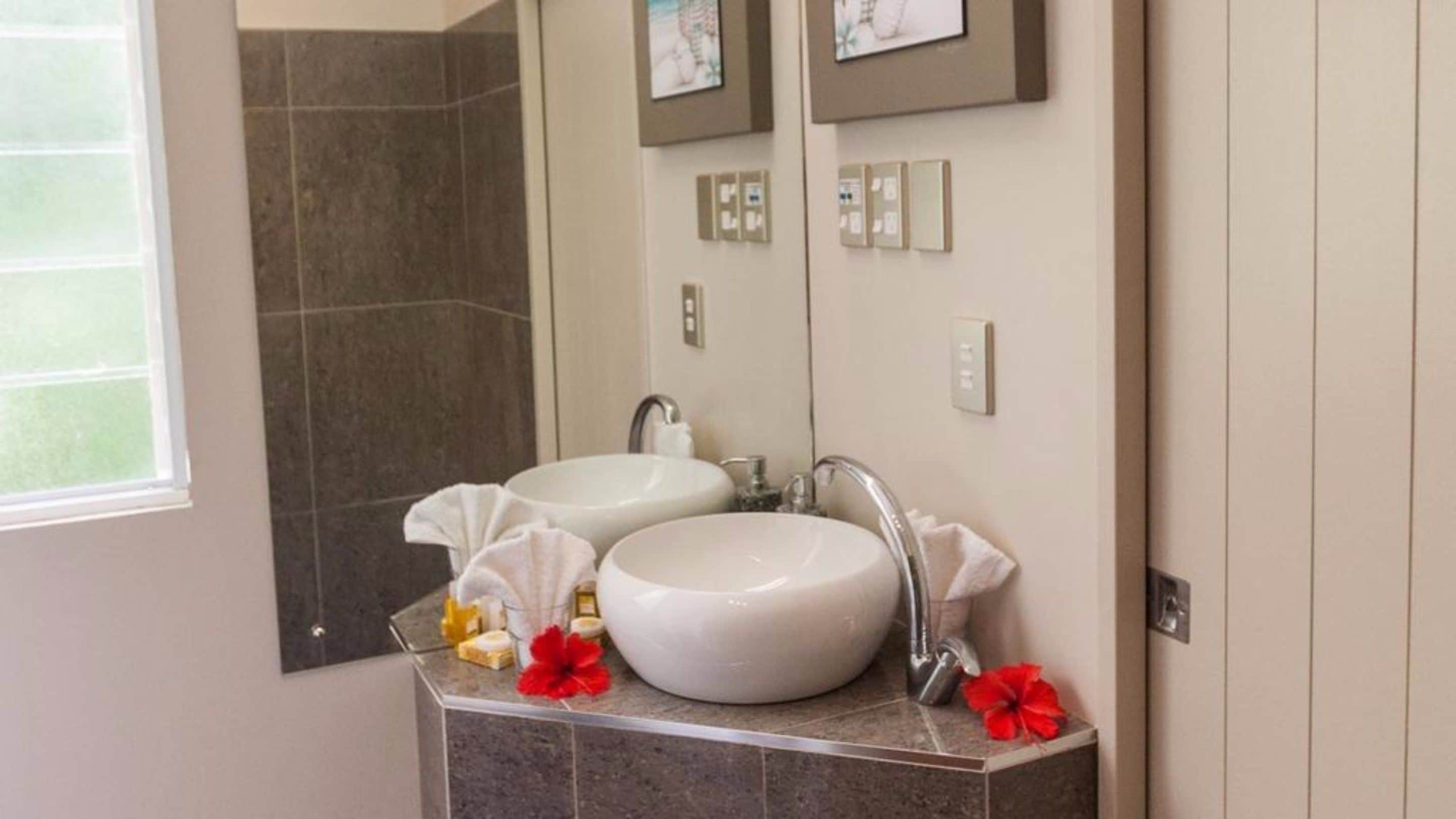 Une salle de bain avec deux lavabos, un miroir et une fenêtre.