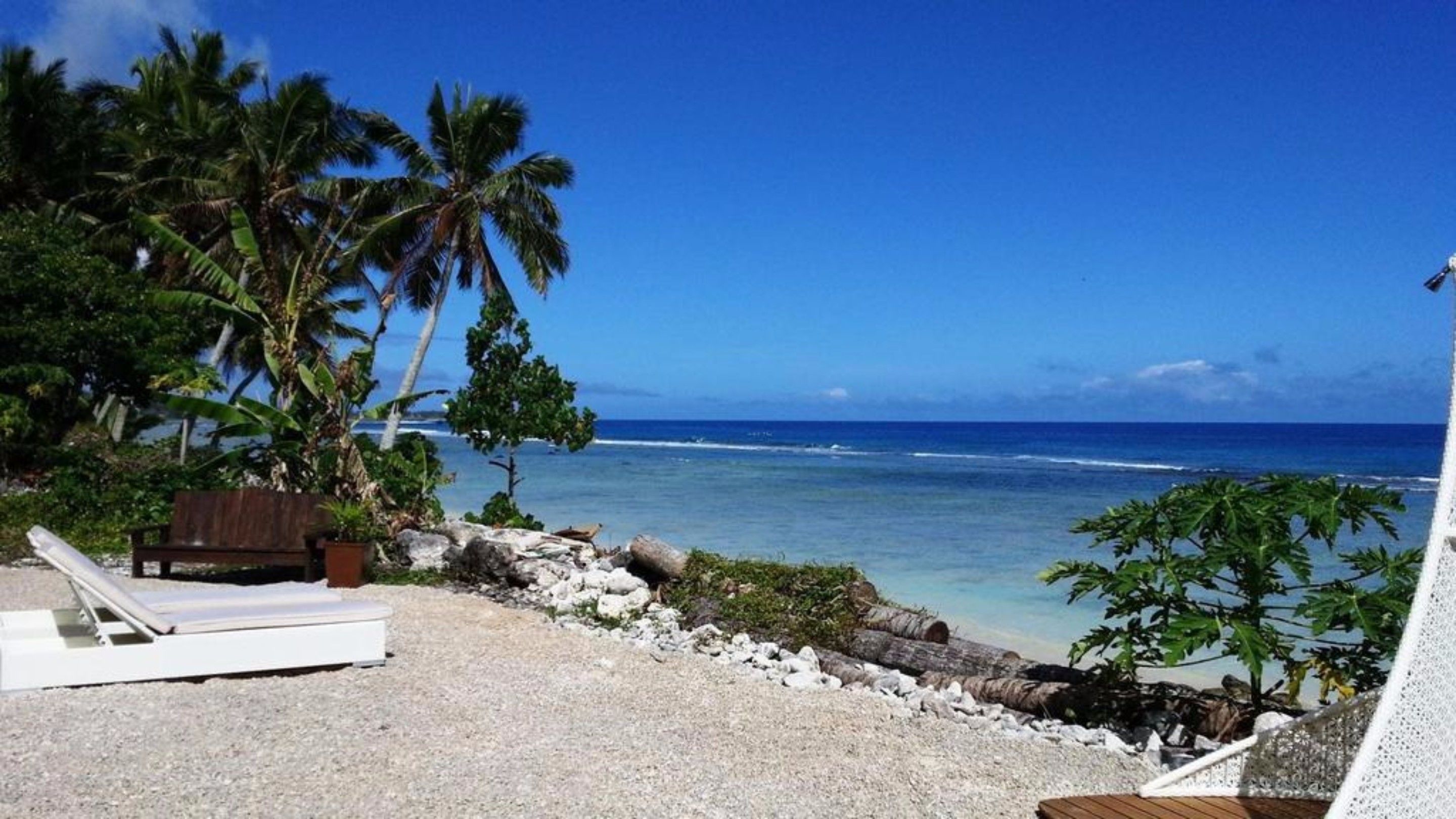A beach view with palm trees, a wooden bench, and a white lounge chair.
