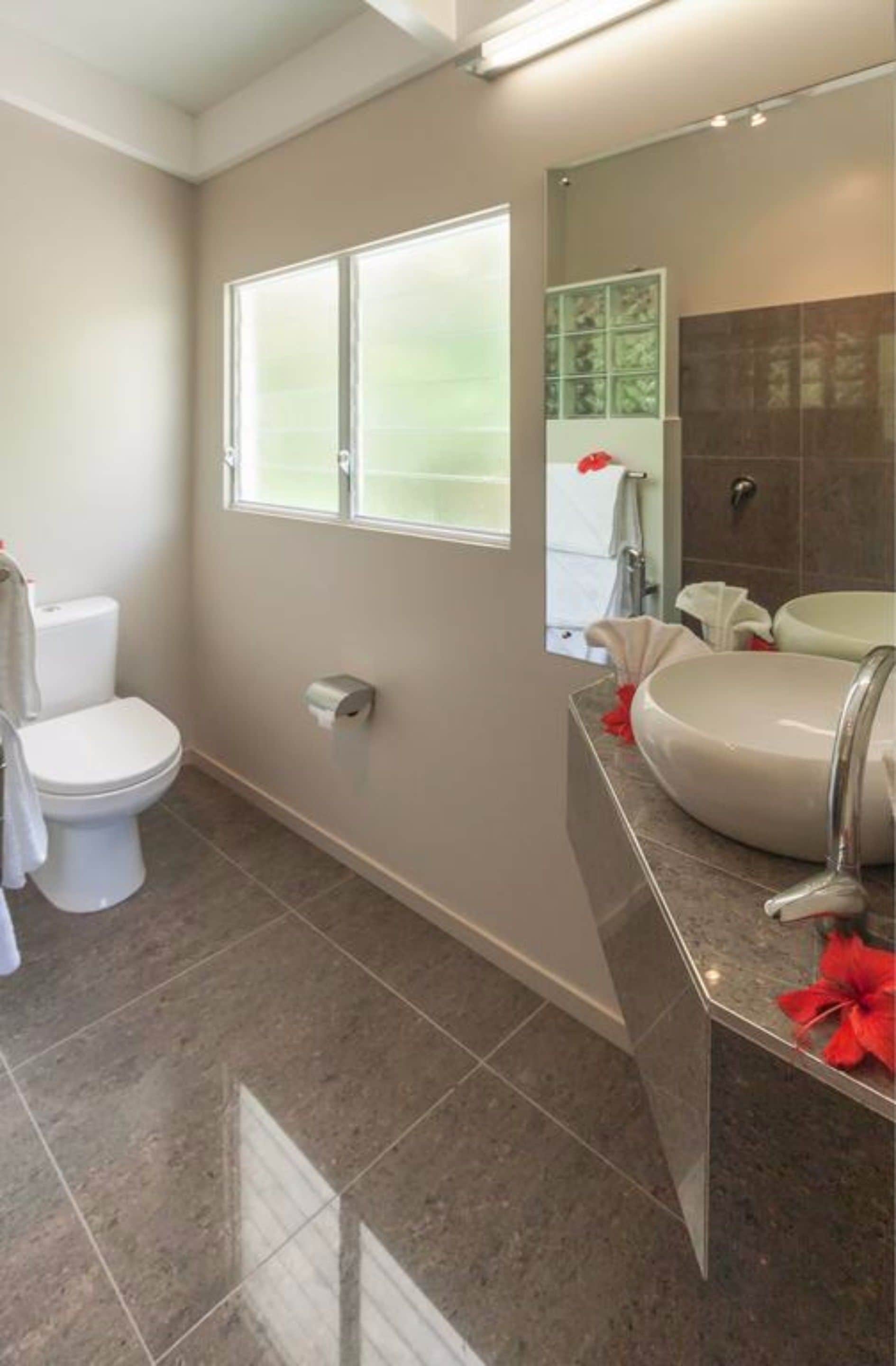 A bathroom with a toilet, a sink, a mirror, and a window.
