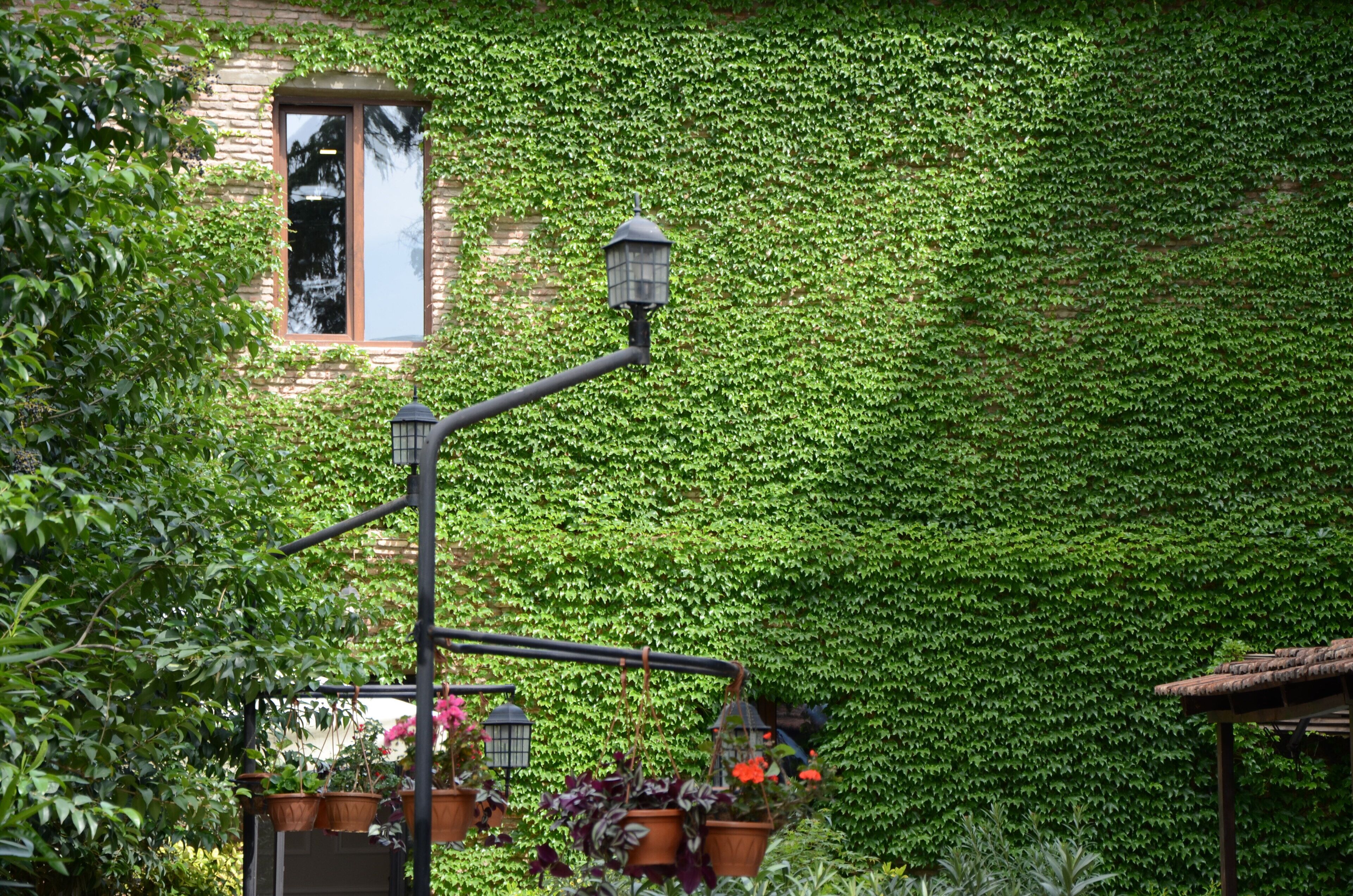 Photo - New Tiflis Hotel