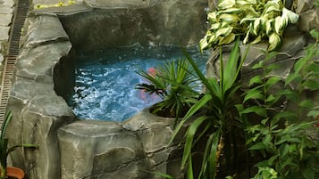 Habitación estándar doble | Jardín