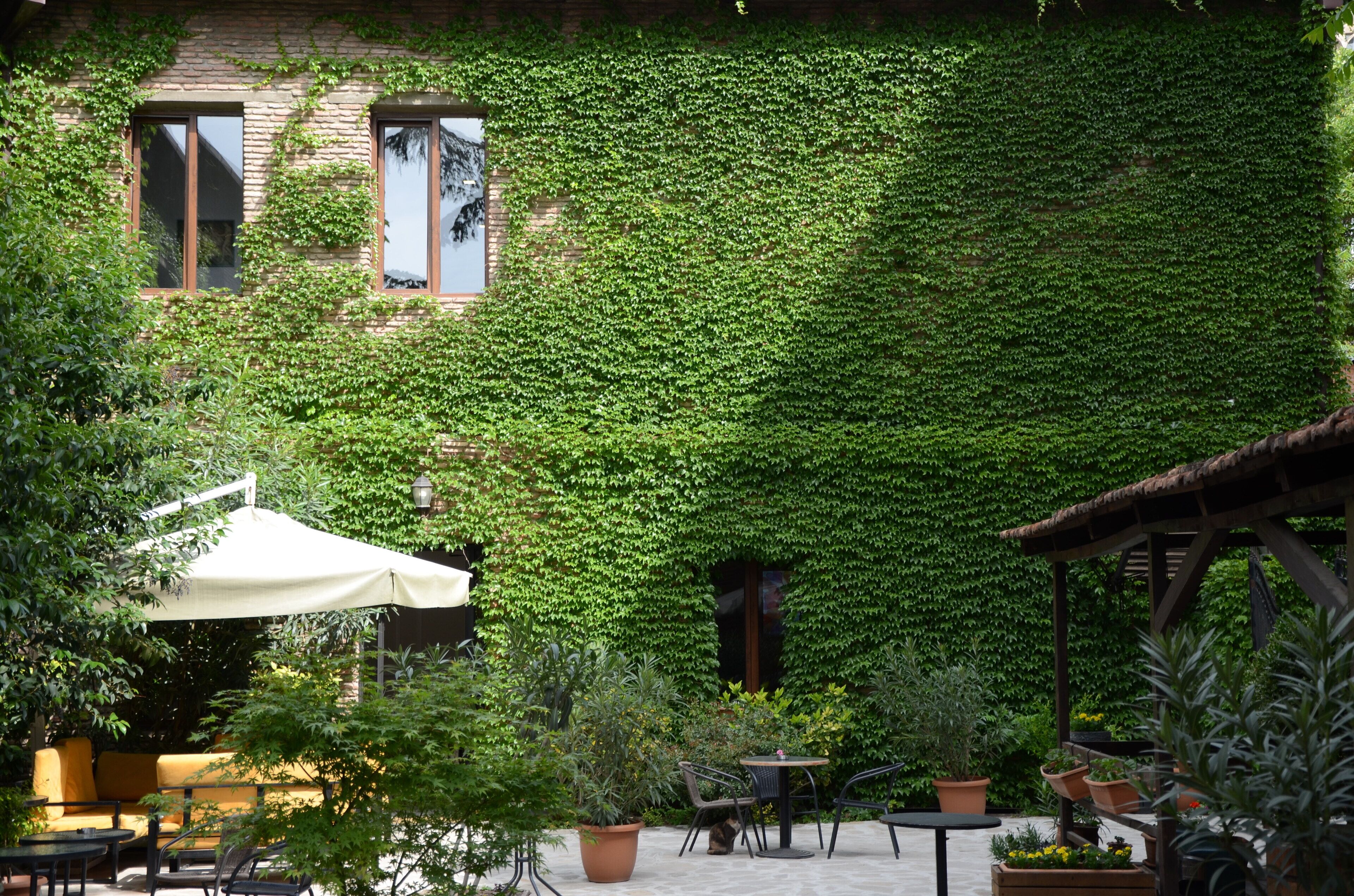 Photo - New Tiflis Hotel