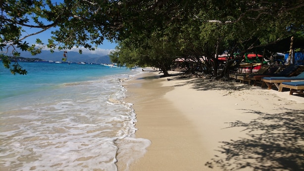 A beach with clear blue water, sandy shore, and a row of sun loungers under a tree. - Coral Beach 2 Bungalow (Gili Trawangan)
