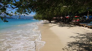 Une plage à l’eau d’un bleu limpide, avec un rivage sablonneux et une rangée de transats à l’ombre d’un arbre.