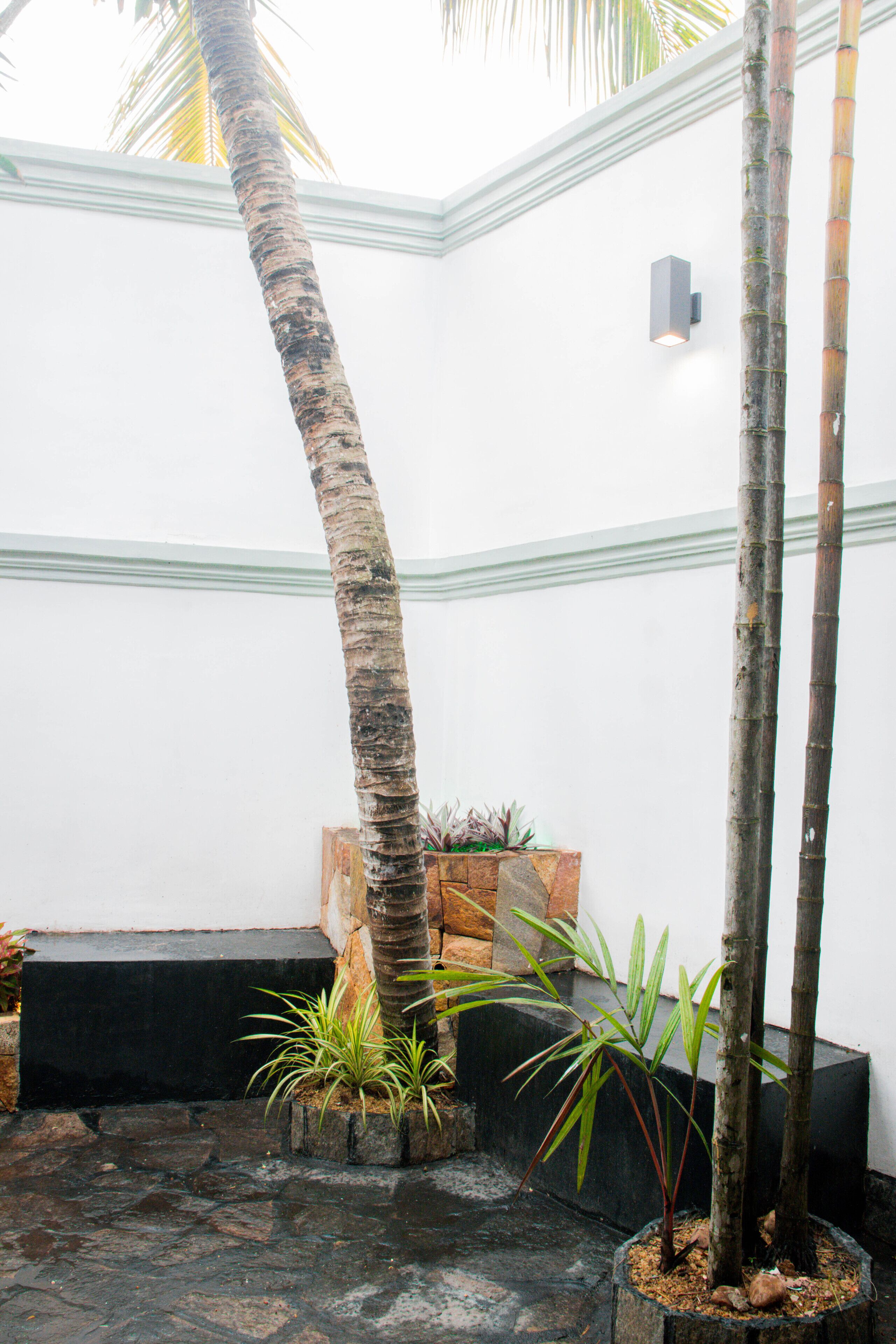 A corner of a room with a white wall, a black bench, and a small potted plant.