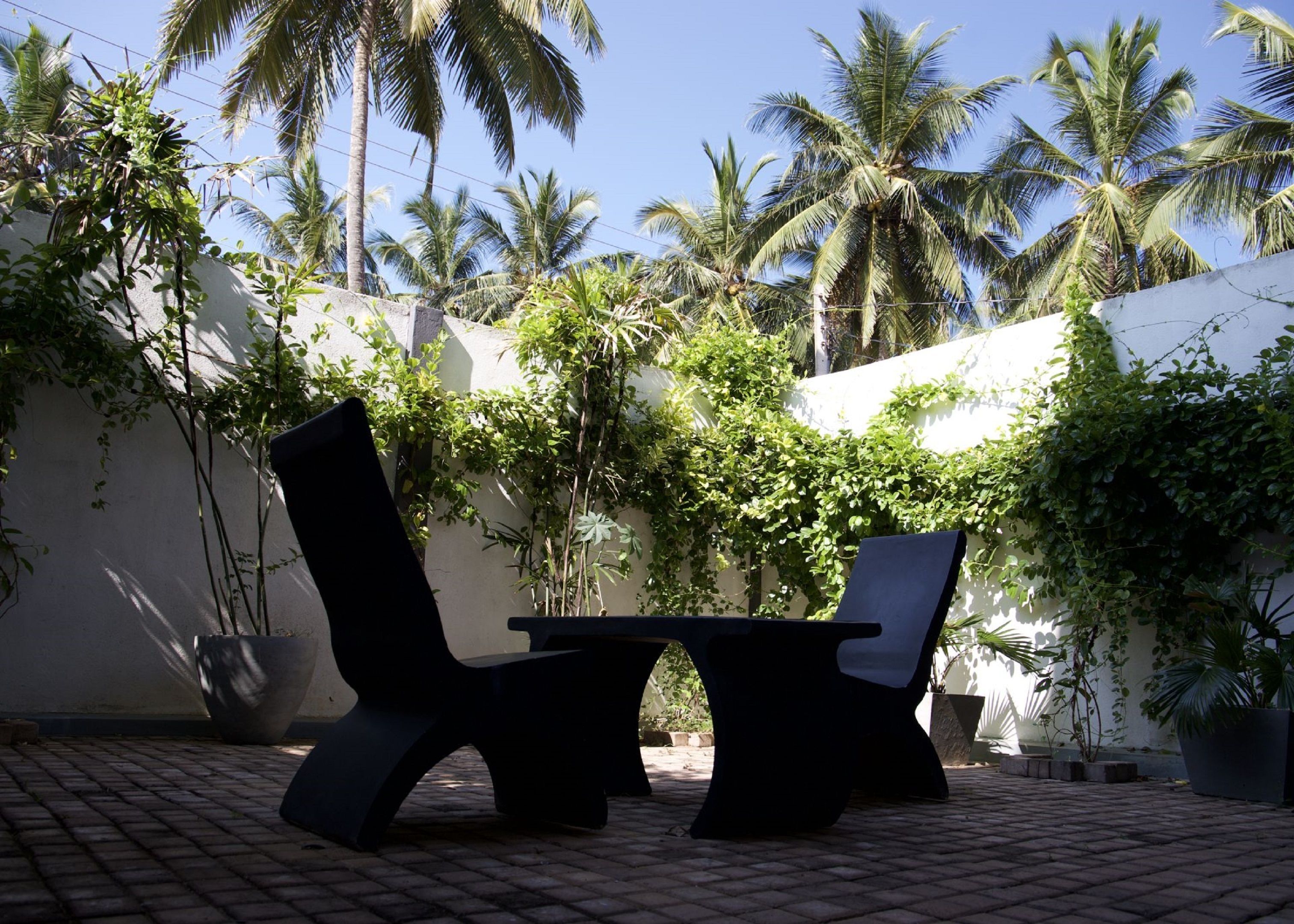 Un patio exterior con dos sillas negras y una mesa, rodeado de vegetación exuberante y palmeras.