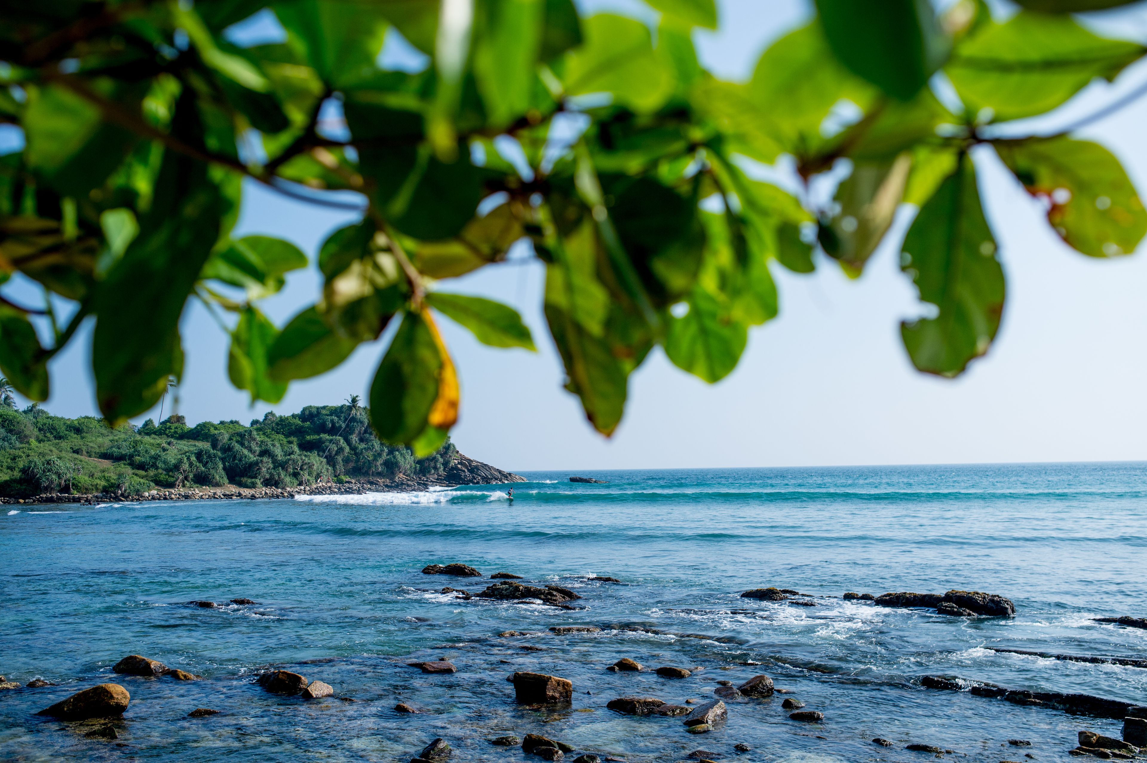 deluxe room with sea view  | beach/ocean view