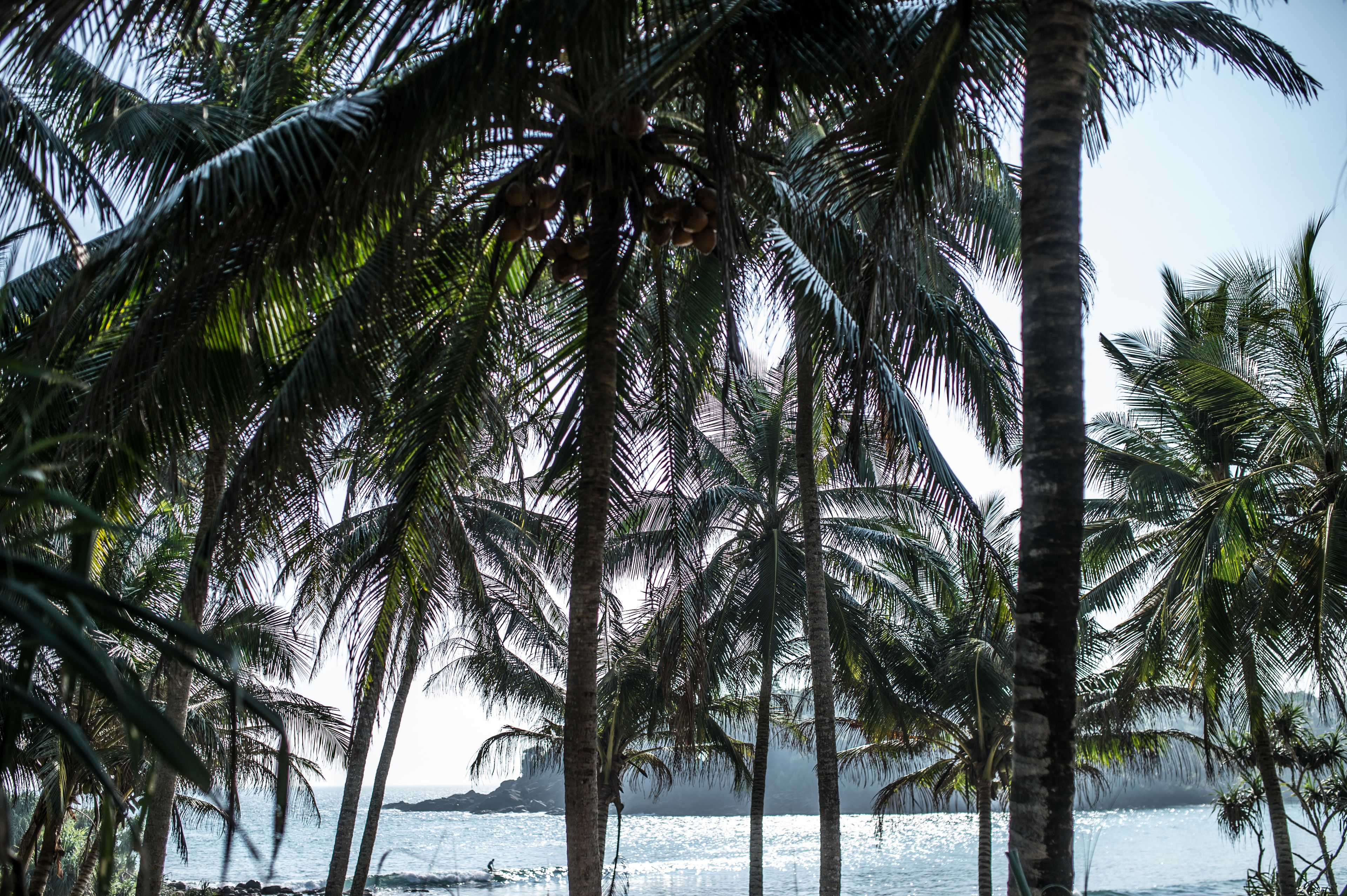 deluxe room | beach/ocean view
