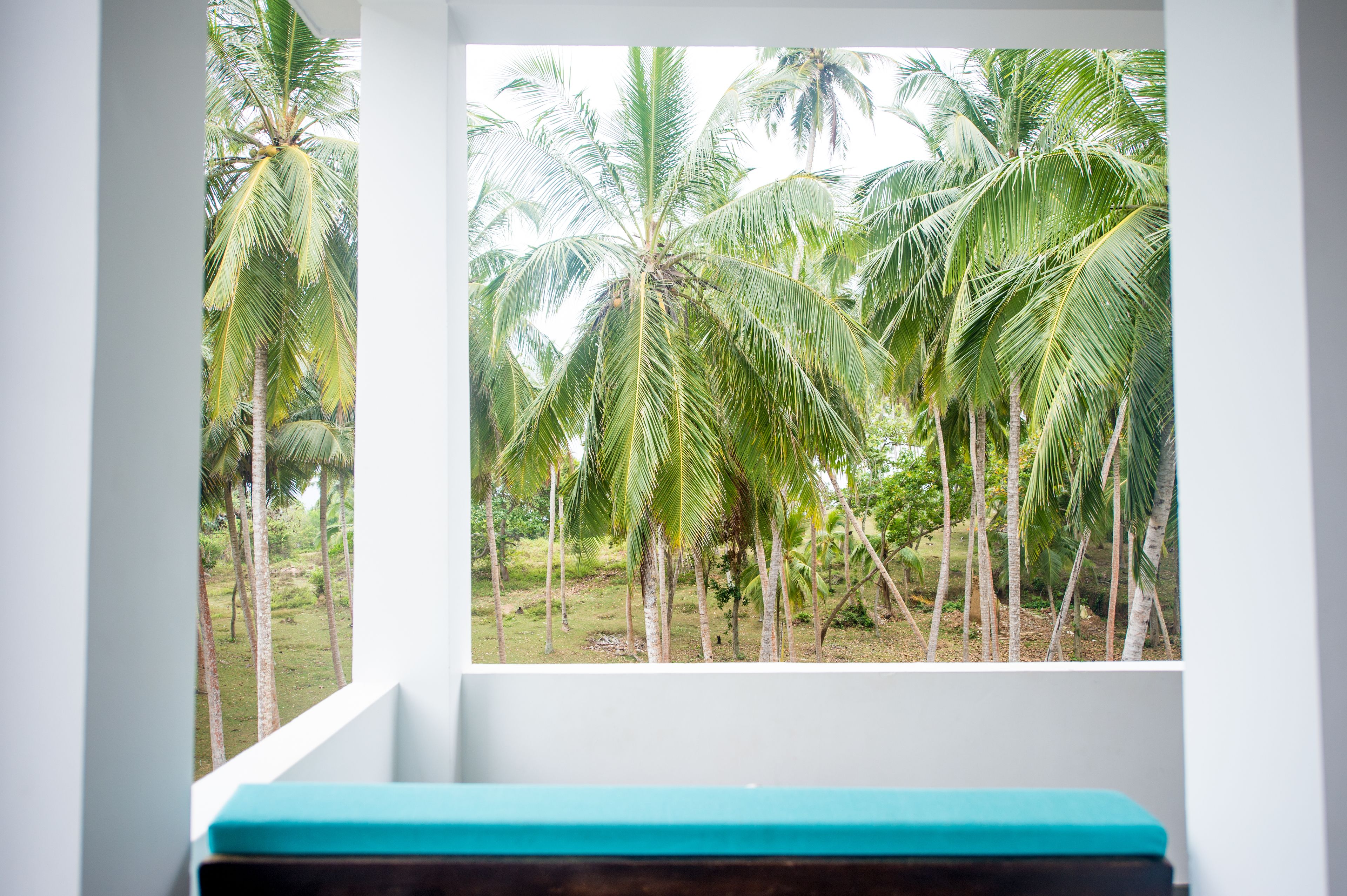 deluxe room with sea view  | terrace/patio