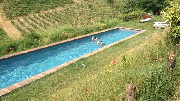 Una piscina rectangular con dos personas nadando, rodeada de abundante vegetación y un paisaje montañoso.