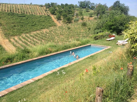 Outdoor pool. Casa Isabella