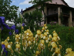 A building with a pink facade and a balcony overlooking a garden with yellow and purple flowers.