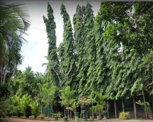 Enceinte de l’hébergement