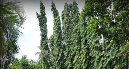 Villa Sunshine Hotel