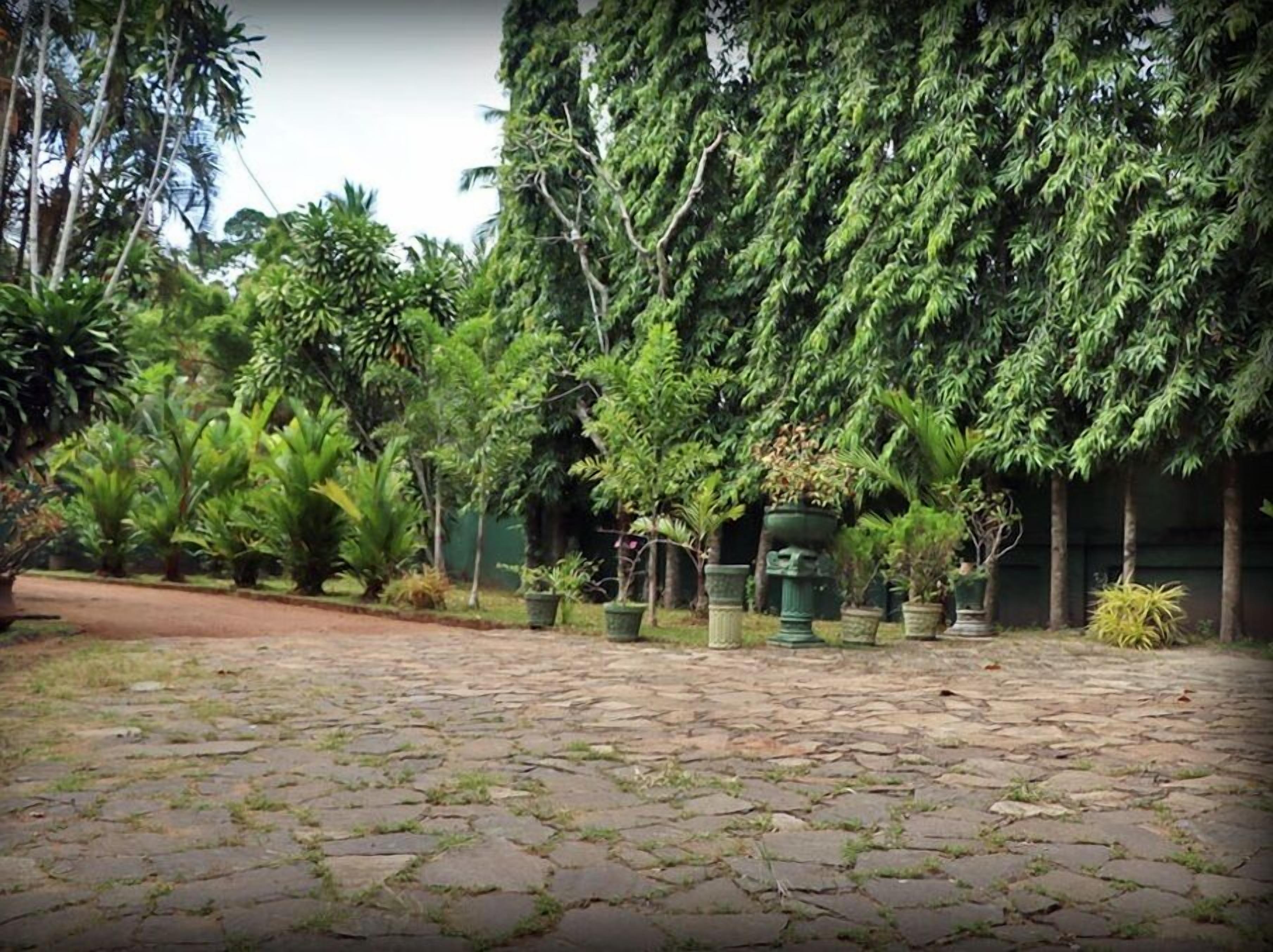 A courtyard with stone paving, surrounded by various potted plants and trees.