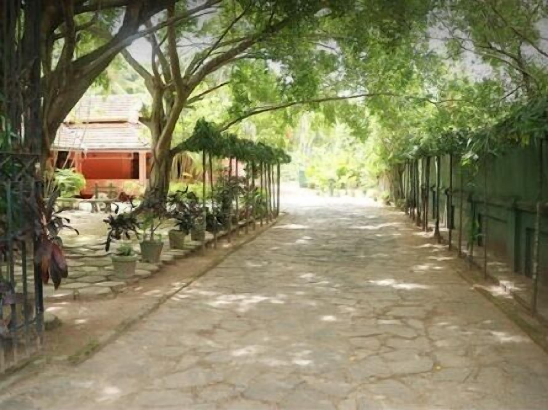 Un sendero de piedra flanqueado por árboles y plantas en macetas, que conduce a un edificio con techo rojo.