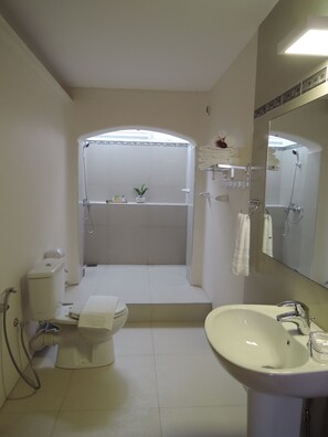 Shower, free toiletries, hair dryer, slippers