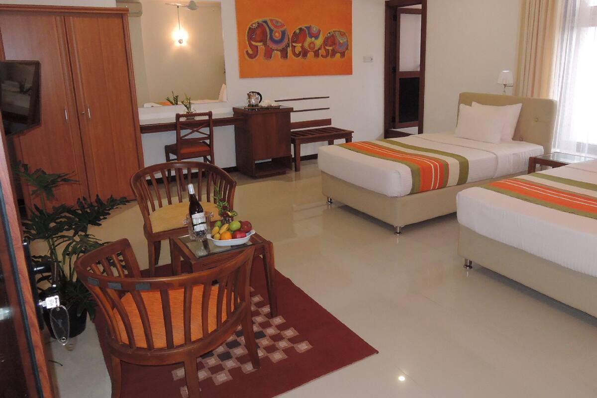 Deluxe Double or Twin Room
