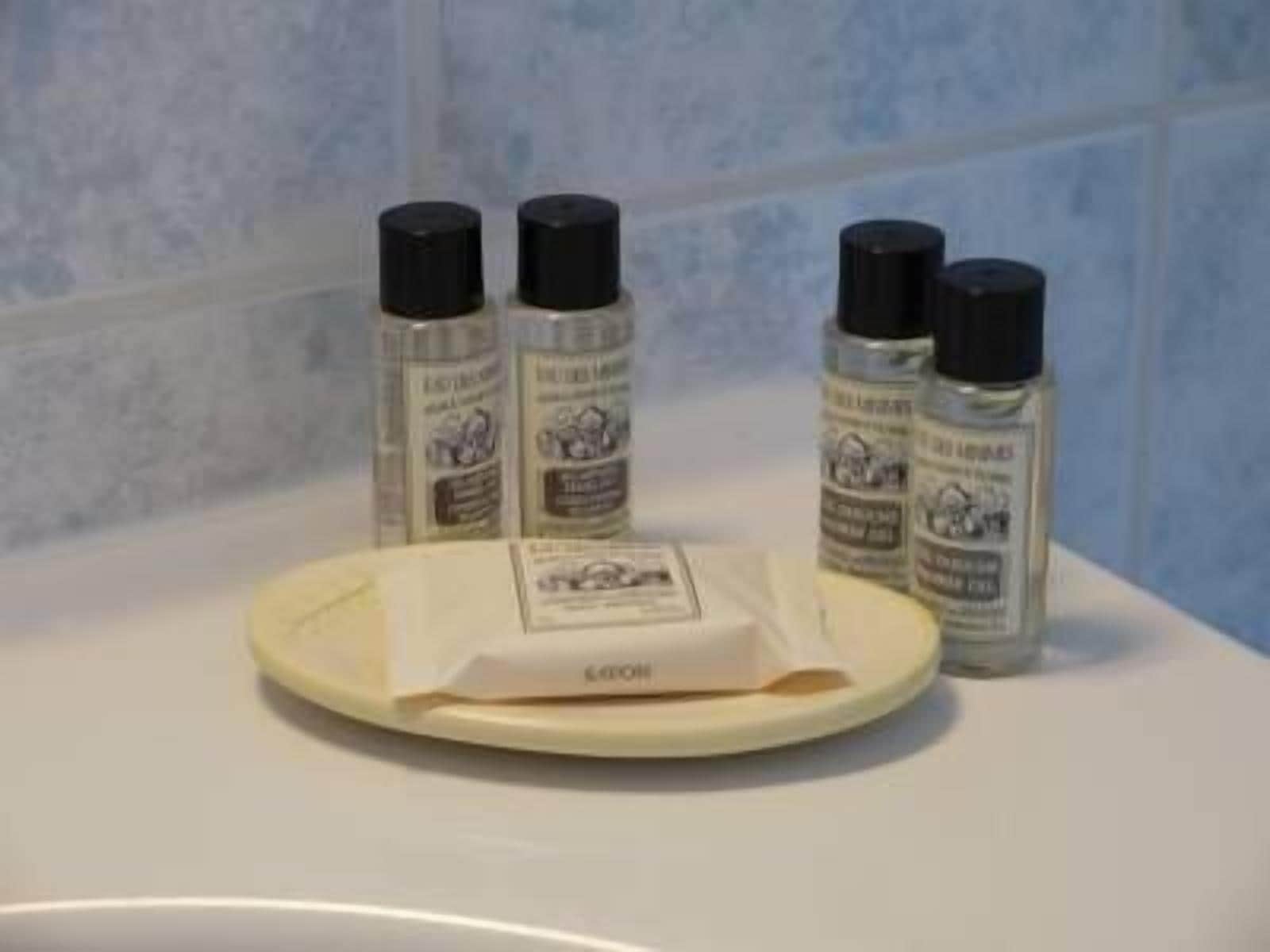 combined shower/bathtub, free toiletries, hair dryer, towels