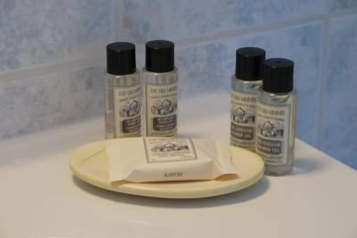 combined shower/bathtub, free toiletries, hair dryer, towels