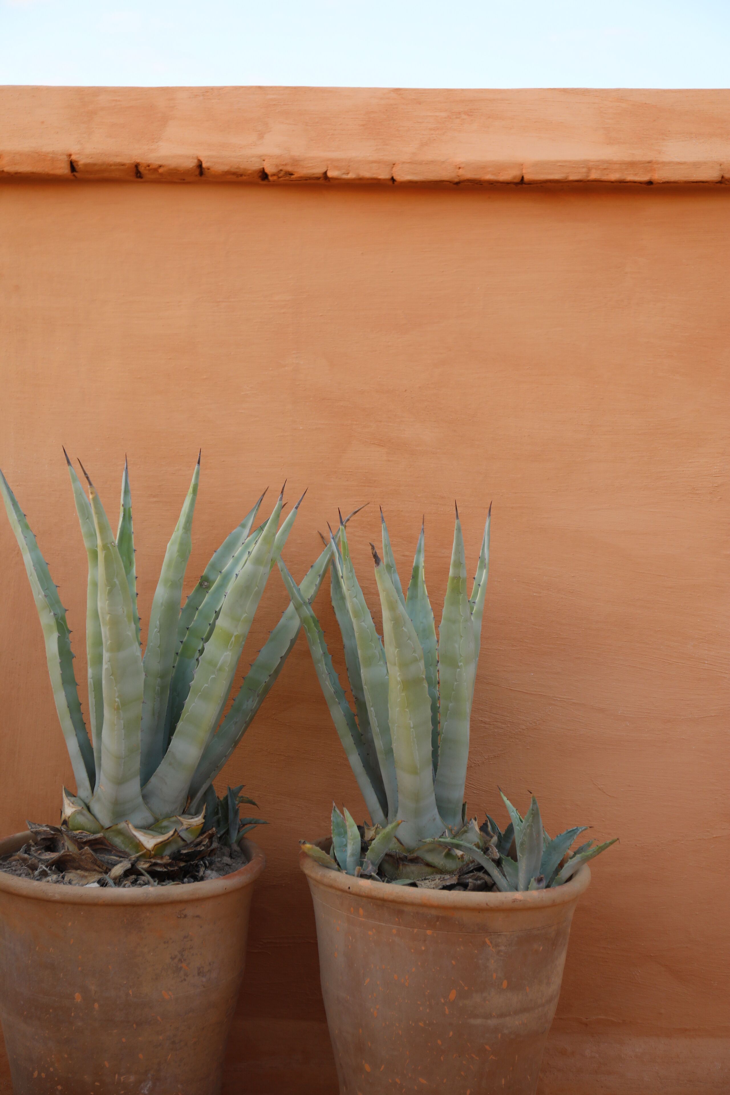 Foto - Riad Azzouna 13