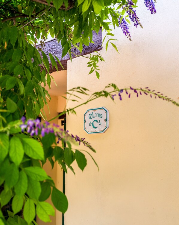 Una pared con un letrero que dice 'OLIVO C'.
