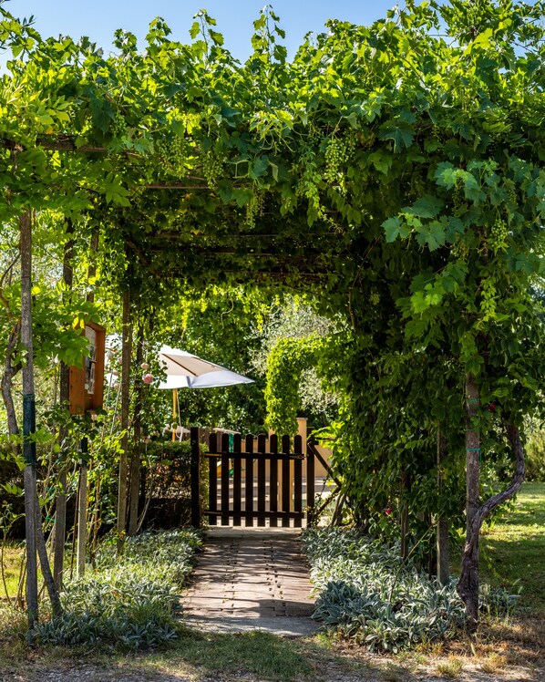 Un sendero de jardín que conduce a un portón de madera, rodeado de abundante vegetación y una pérgola con parras.