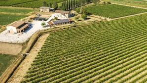 An aerial view of a vineyard with rows of grapevines, a farmhouse, and solar panels. - Agriturismo La Fonte (Bevagna)