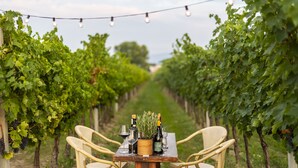 A vineyard with a table set for two, featuring wine bottles and glasses, surrounded by wicker chairs. - Agriturismo La Fonte (Bevagna)