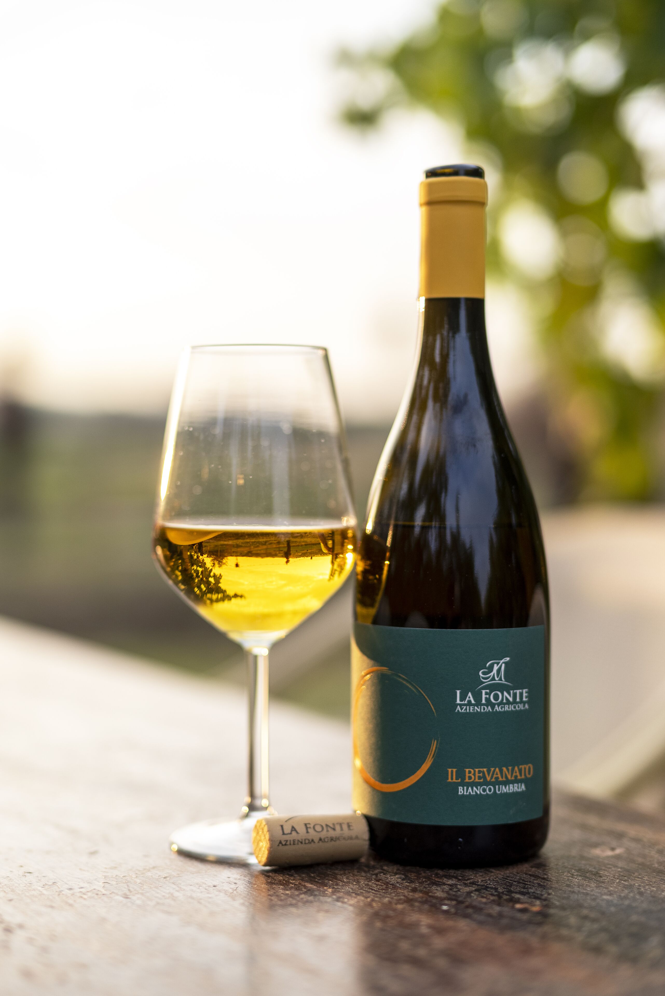 Une bouteille de vin et un verre sur une table, avec un arrière-plan flou représentant un paysage extérieur.