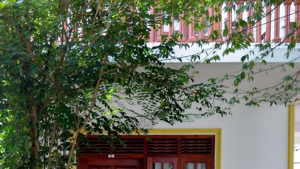 A wooden door with a window, two wooden chairs, and a tree in front of a building. - Sounds of Nature mini hotel (Thalaramba)