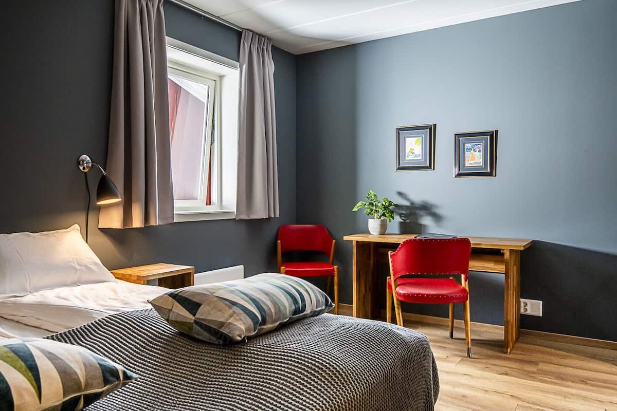 Dobbeltrom, privat bad | Skrivebord, skrivebord for bærbar PC, lydisolert og strykejern/-brett
