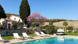 Zona de piscina con sillones de descanso, un muro de piedra y un viñedo al fondo.