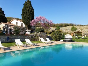 Seasonal outdoor pool, sun loungers - Casali del Toppello (Corciano)