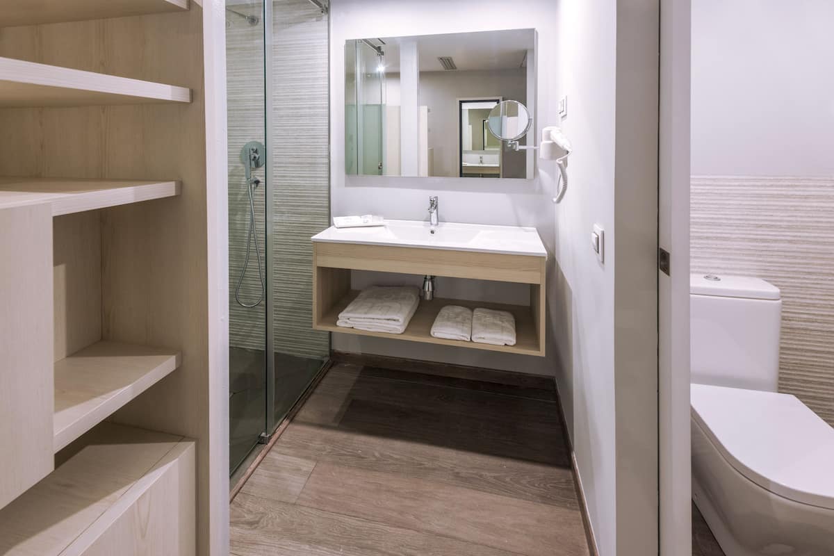 shower, free toiletries, hair dryer, towels