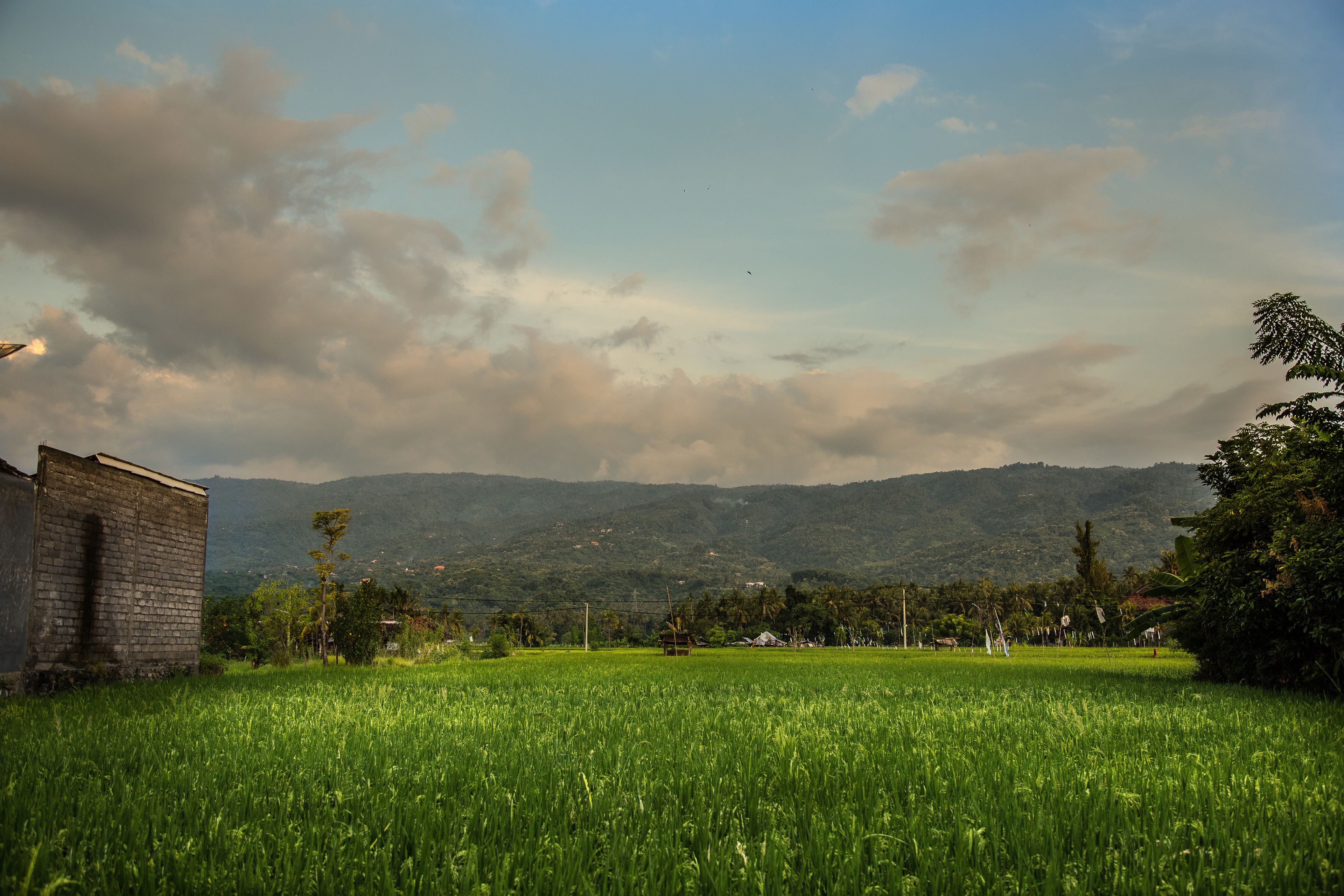 A rural landscape with a field, a brick building, and mountains in the background.