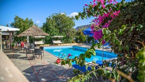 Alberca al aire libre 