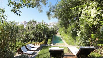 Outdoor pool, sun loungers