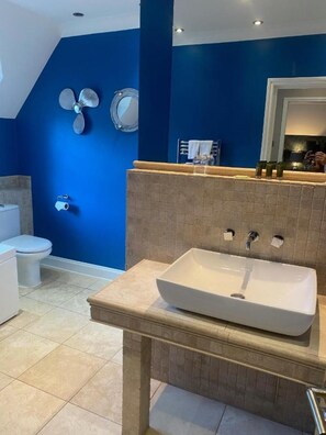 A modern bathroom with a blue accent wall, a white sink, and a toilet.