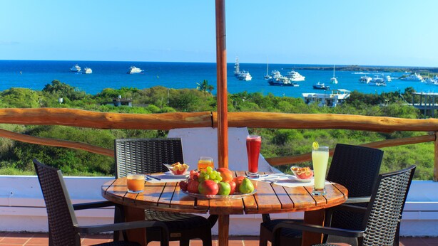 A table with fruit, a drink, and a laptop on a balcony with a view of the sea and boats. - Hotel La Casa de Judy (Puerto Ayora)