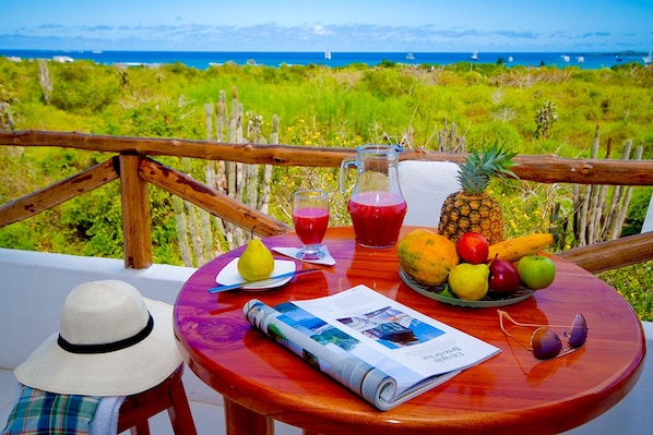 Terrace/patio - Hotel La Casa de Judy (Puerto Ayora)