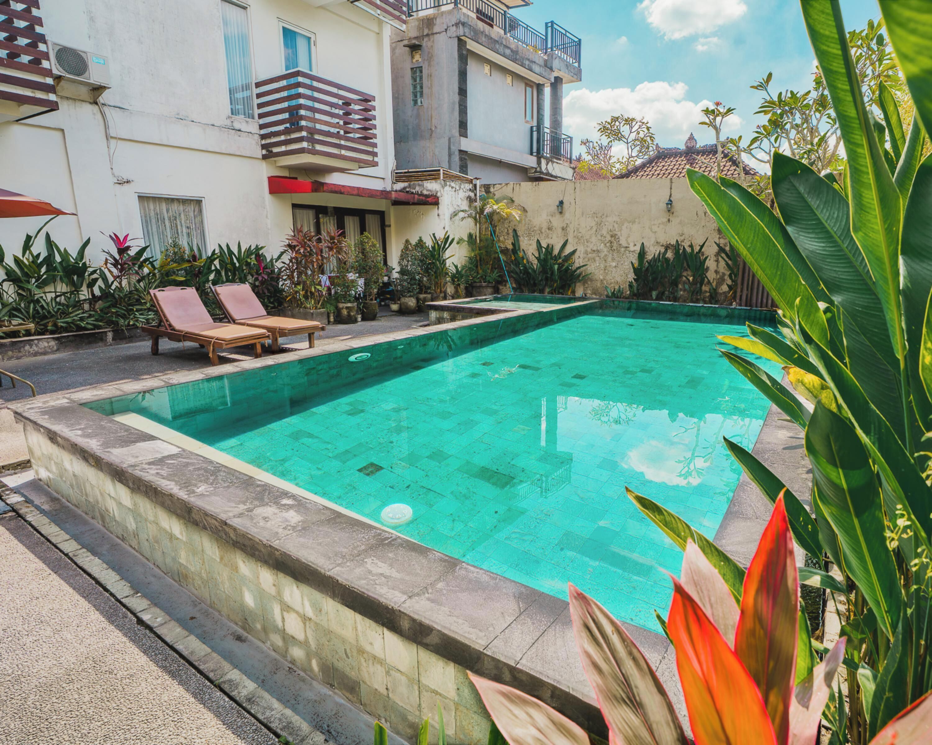 Ein rechteckiger Swimmingpool mit Fliesenrand, umgeben von Blumentöpfen und zwei Liegestühlen.